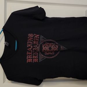 Breaking Benjamin Final